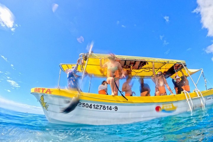 Cozumel Cruise Excursion Private Speedboat for 2 to 6 Pax