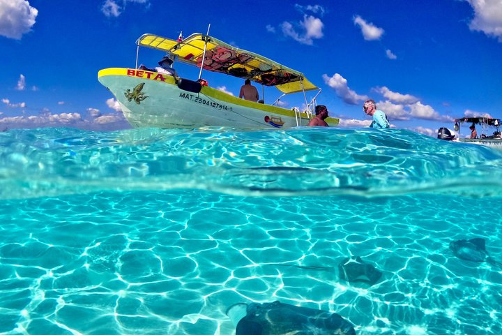 Cozumel Cruise Shore Excursion Snorkel and El Cielo 4 hours
