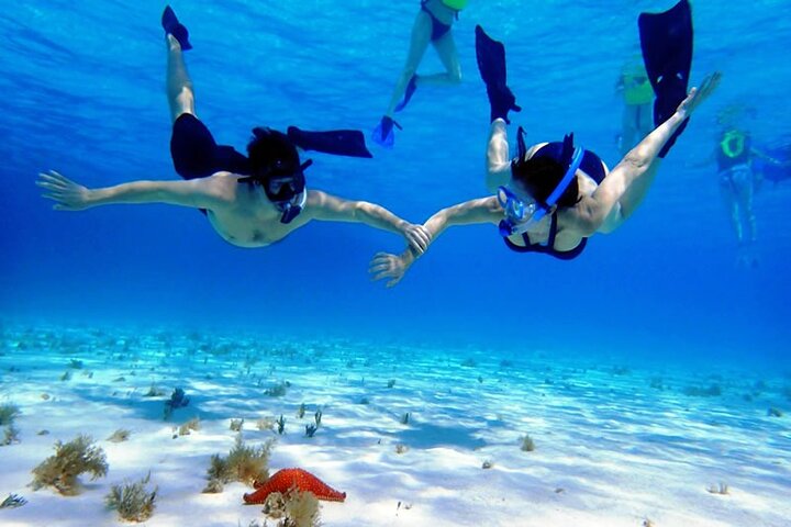 Cozumel El Cielo Sandbar Private Boat & Snorkeling Adventure