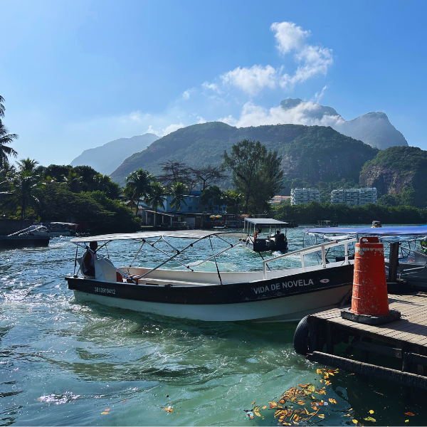 Gigóia Island: Rio’s Urban Pantanal Boat and Walking Tour