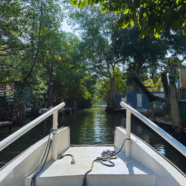 Gigóia Island: Rio’s Urban Pantanal Boat and Walking Tour