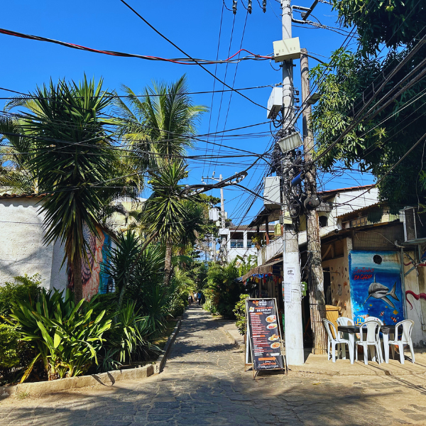 Gigóia Island: Rio’s Urban Pantanal Boat and Walking Tour