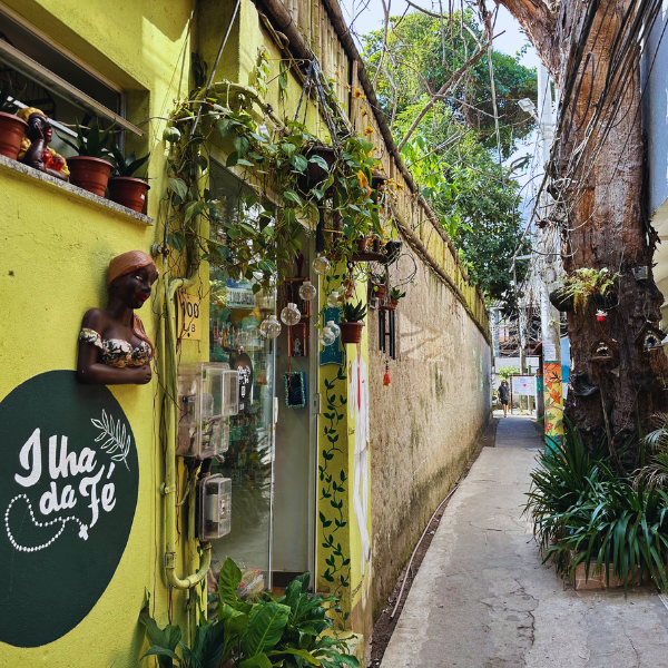Gigóia Island: Rio’s Urban Pantanal Boat and Walking Tour