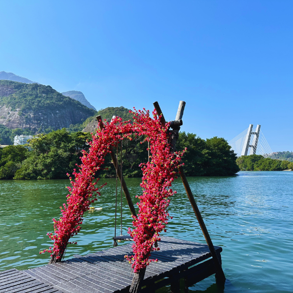Gigóia Island: Rio’s Urban Pantanal Boat and Walking Tour