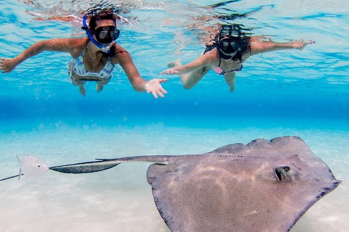 Grand Cayman 3-Stop Adventure: Stingray City & Reef Snorkeling