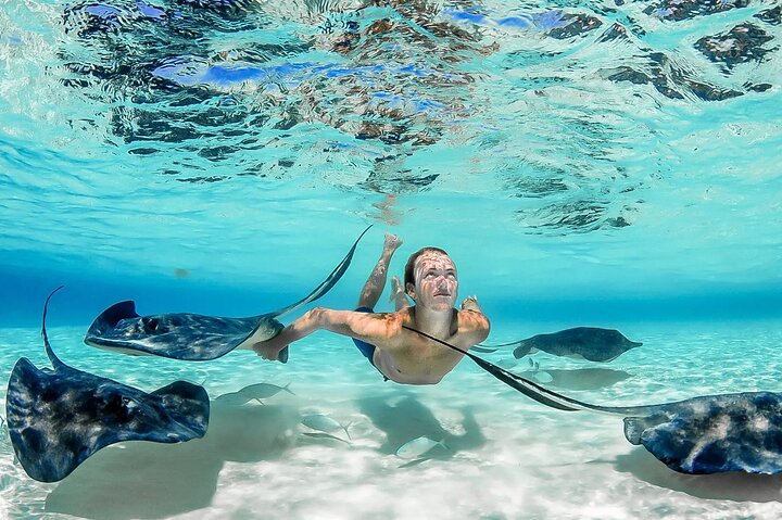 Grand Cayman Stingray City Sandbar Snorkel Adventure