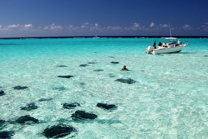 Grand Cayman Stingray City Sandbar Snorkel Adventure