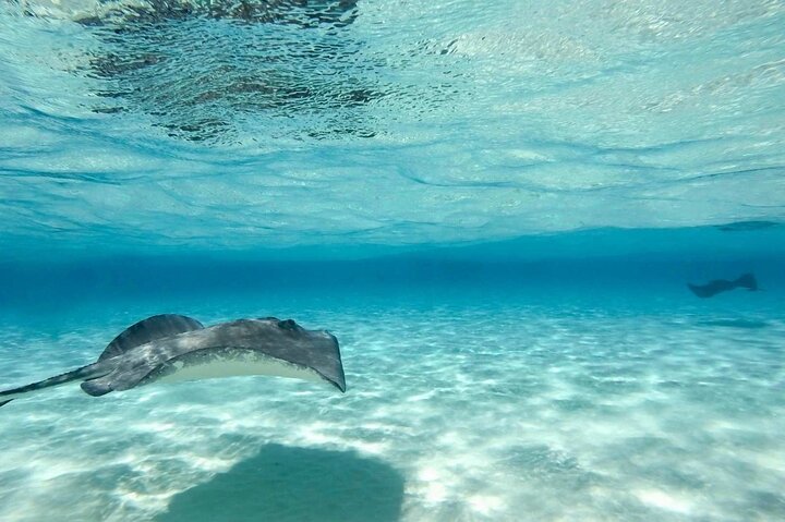 Grand Cayman Stingray City Sandbar Snorkel Adventure