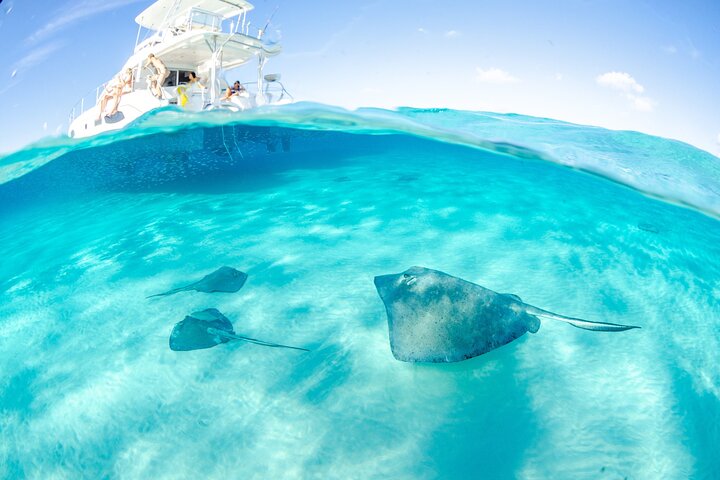 Stingray City Grand Cayman tour from The Kimpton