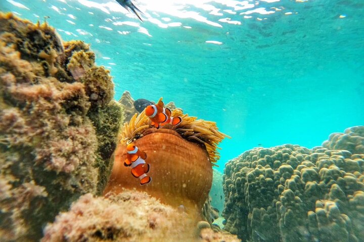 Ko Samet 5 or 6 Islands Snorkeling Tour with Lunch option