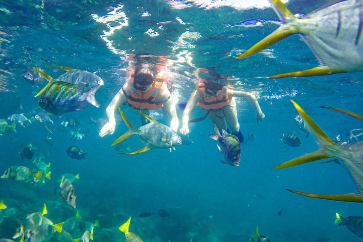 Los Cabos Snorkeling Tour by Boat with Open Bar and Music