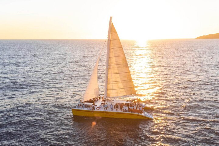 Los Cabos Whale Watching Cruise with Open Bar and Snacks