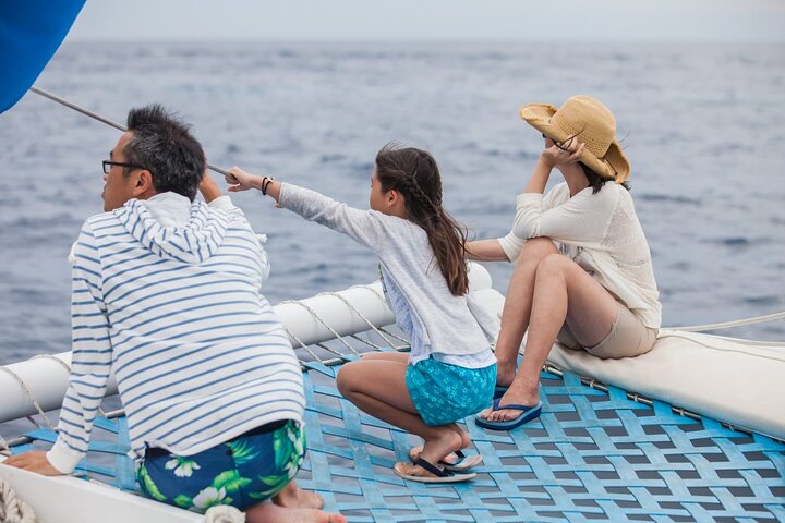 Los Cabos Whale Watching Cruise with Open Bar and Snacks
