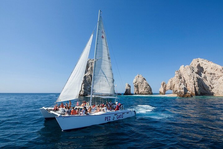 Los Cabos Whale Watching Cruise with Open Bar and Snacks