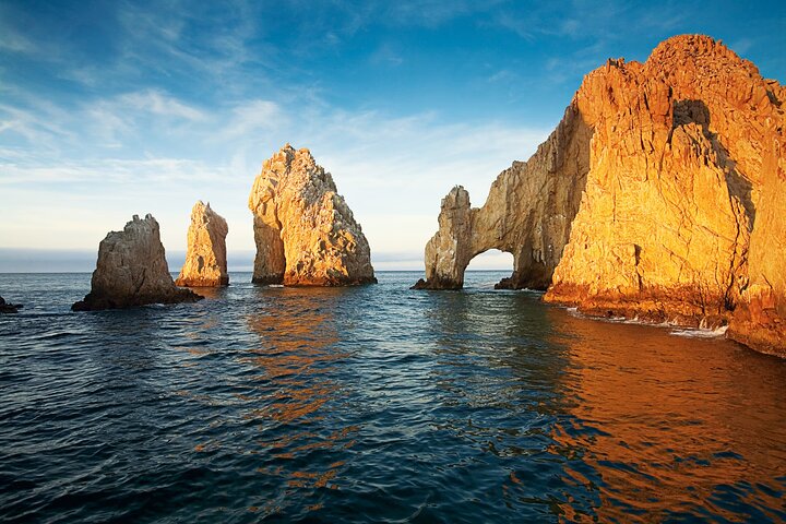 Los Cabos Whale Watching Cruise with Open Bar and Snacks