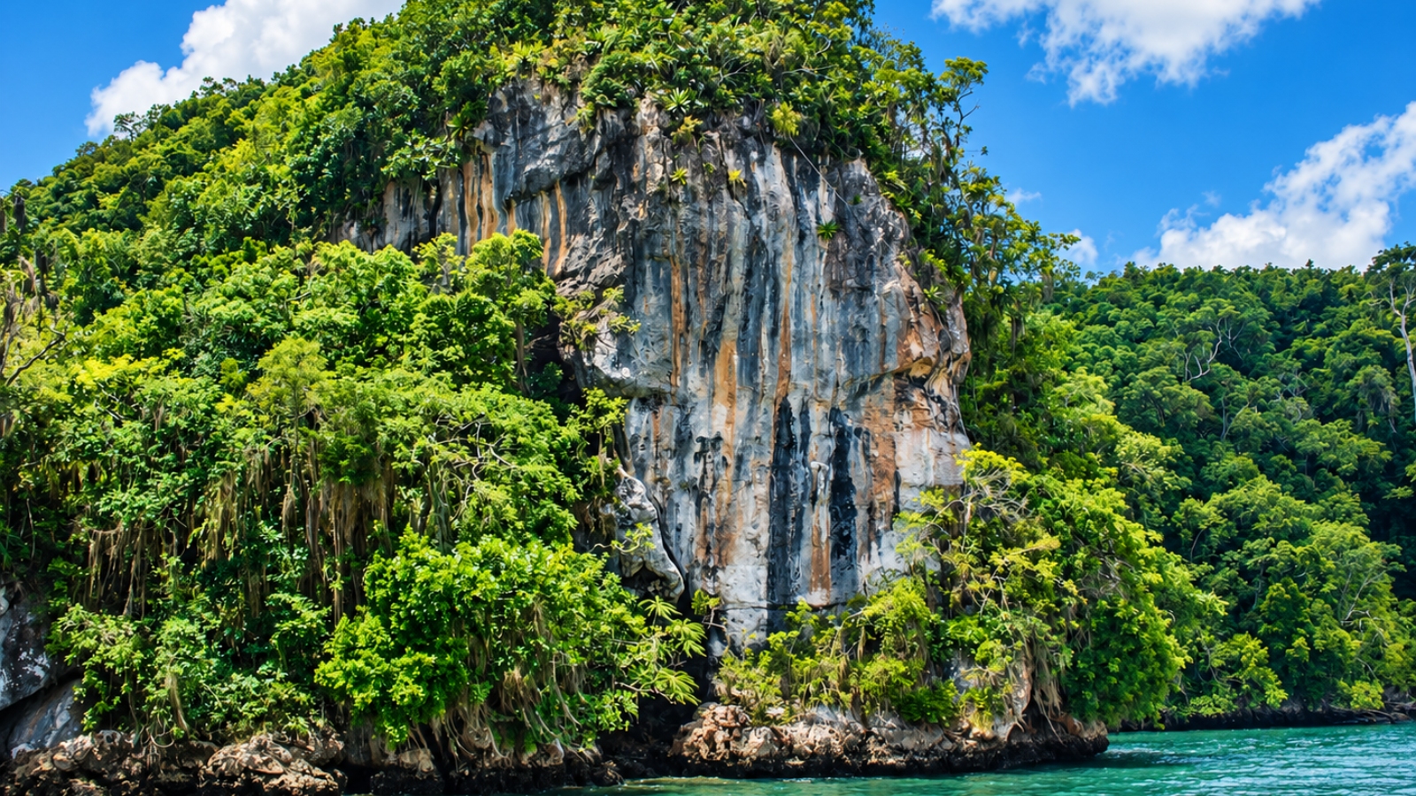 Los Haitises National Park Full-Day Tour from Punta Cana
