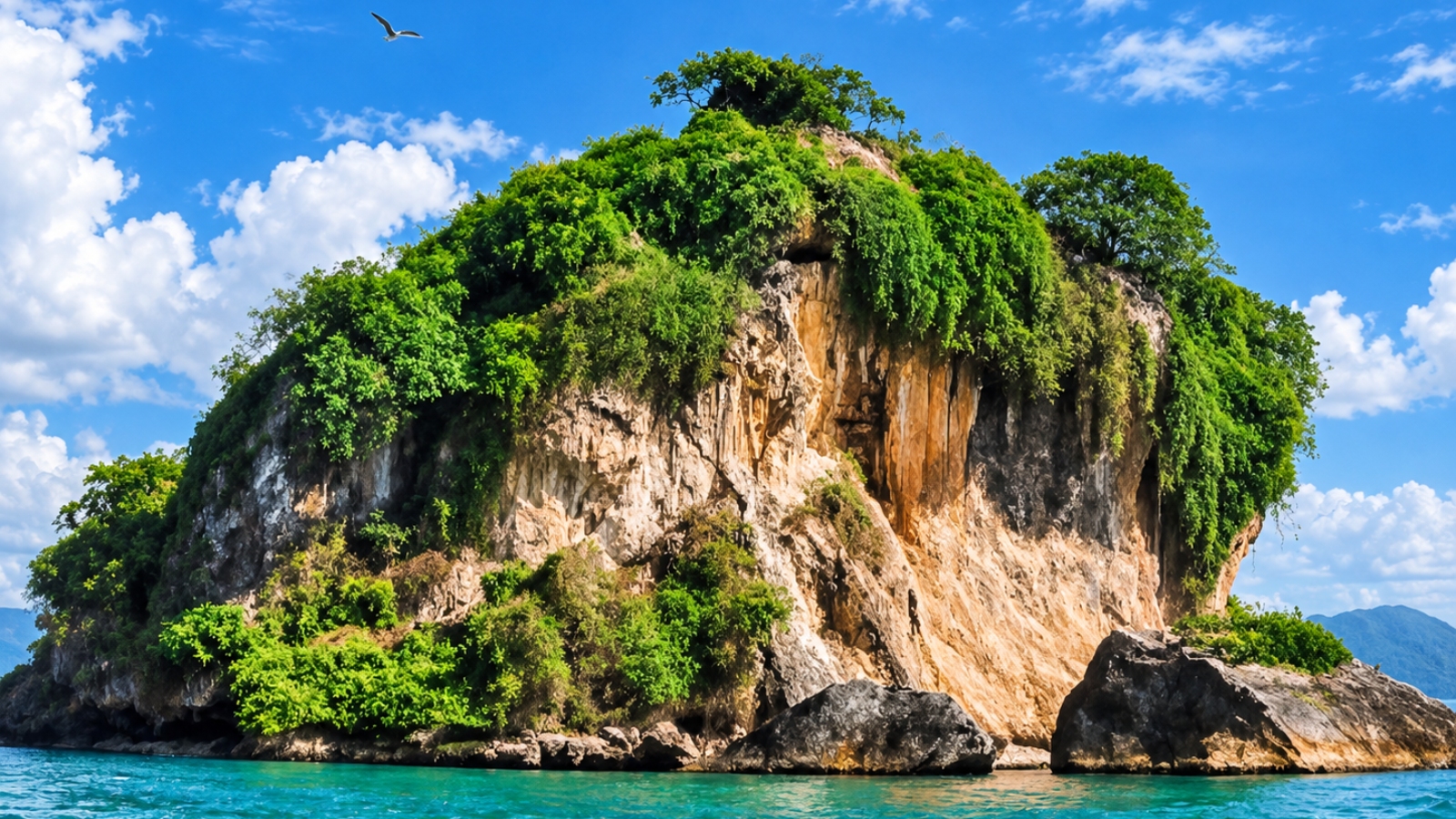 Los Haitises National Park Full-Day Tour from Punta Cana