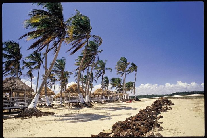 Marajó Island - 2D1N