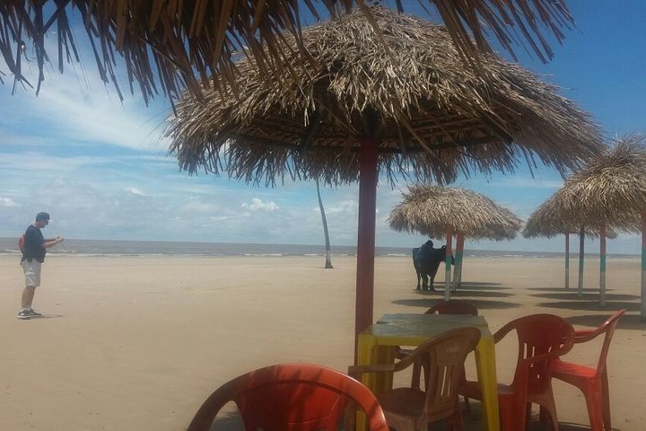 Marajó Island - 2D1N