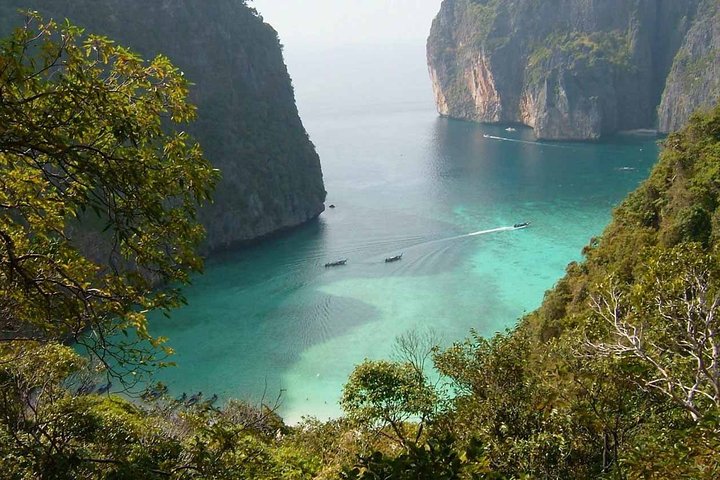 Phi Phi Sunset & Shark Spotting – Small Group