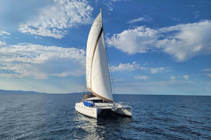 Private Catamaran La Paz Sea Lions and Beach Setup