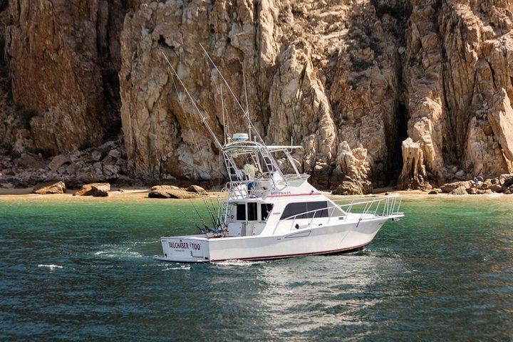 Private Marlin Charter Cabo 5 Hour 38ft Yacht 6 Anglers