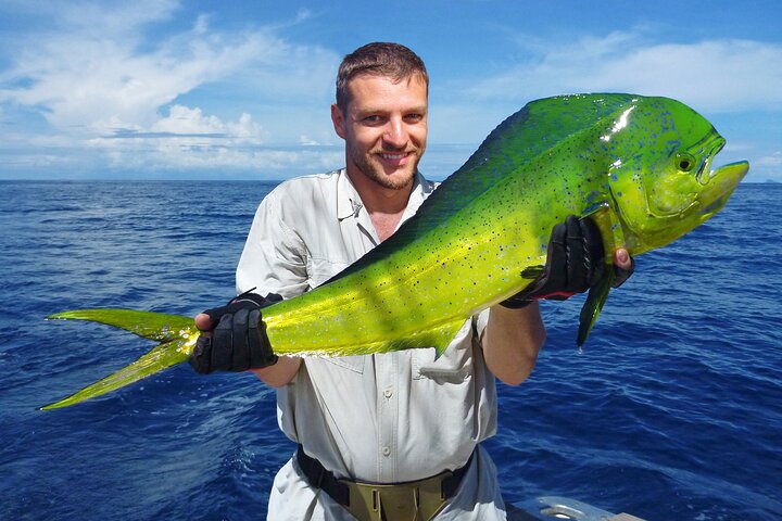 Punta Cana Deep Sea Fishing – Private 4H Charter from Cap Cana