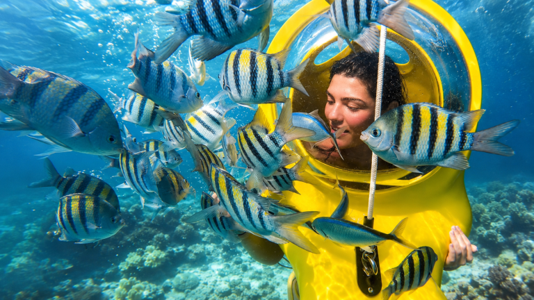 Punta Cana Scuba Doo Underwater Scooter Adventure
