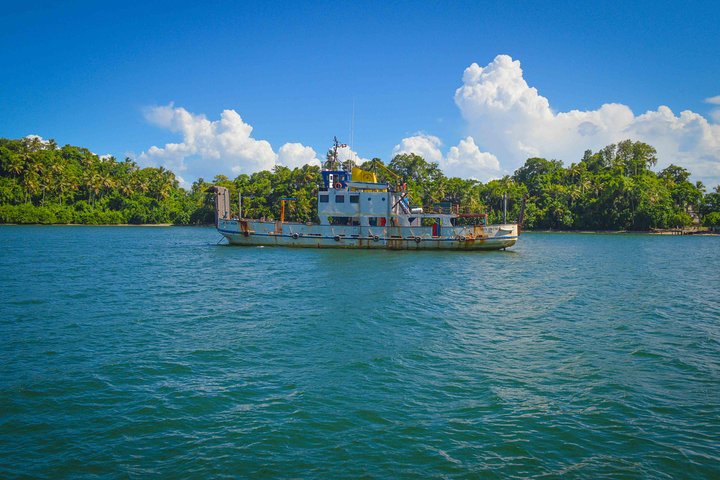 Samana Tour - Full Day Excursion!