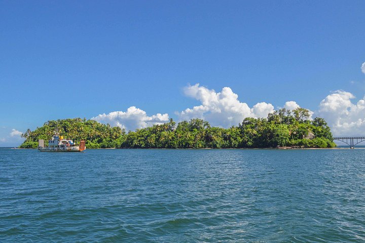 Samana Tour - Full Day Excursion!