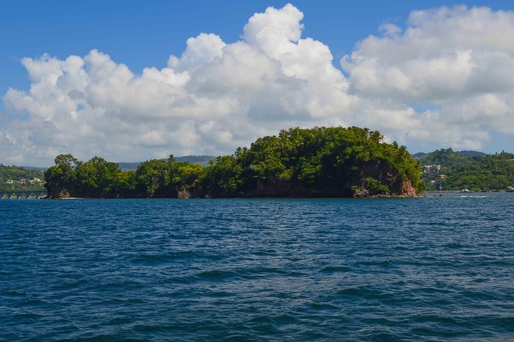 Samana Tour - Full Day Excursion!