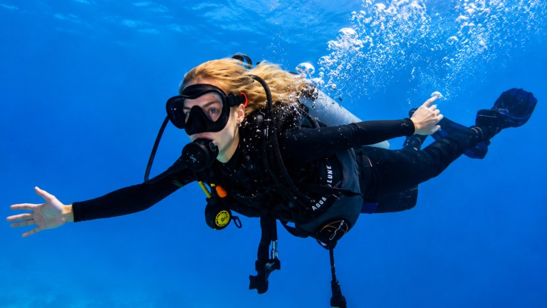 Scuba Diving at Catalina Island from Punta Cana