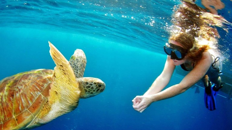 Surin Islands by Speedboat from Khao Lak