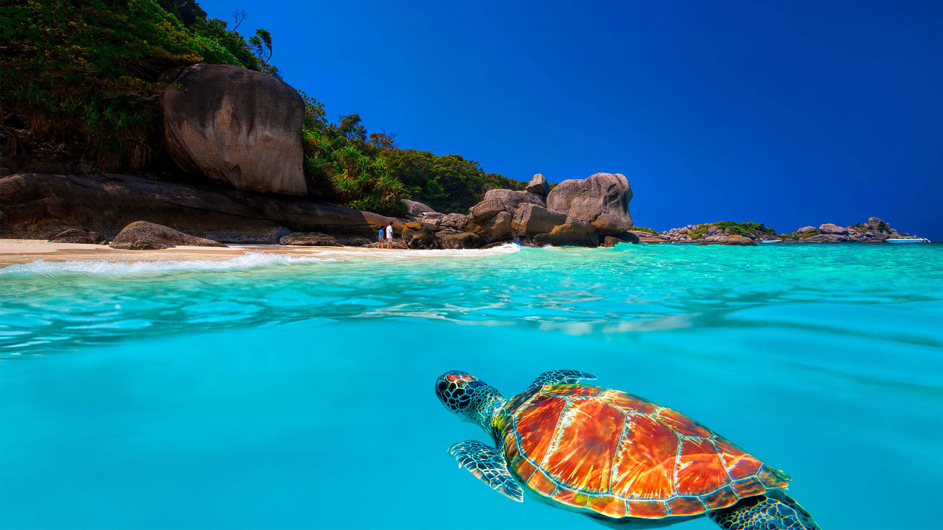 Surin Islands by Speedboat from Khao Lak