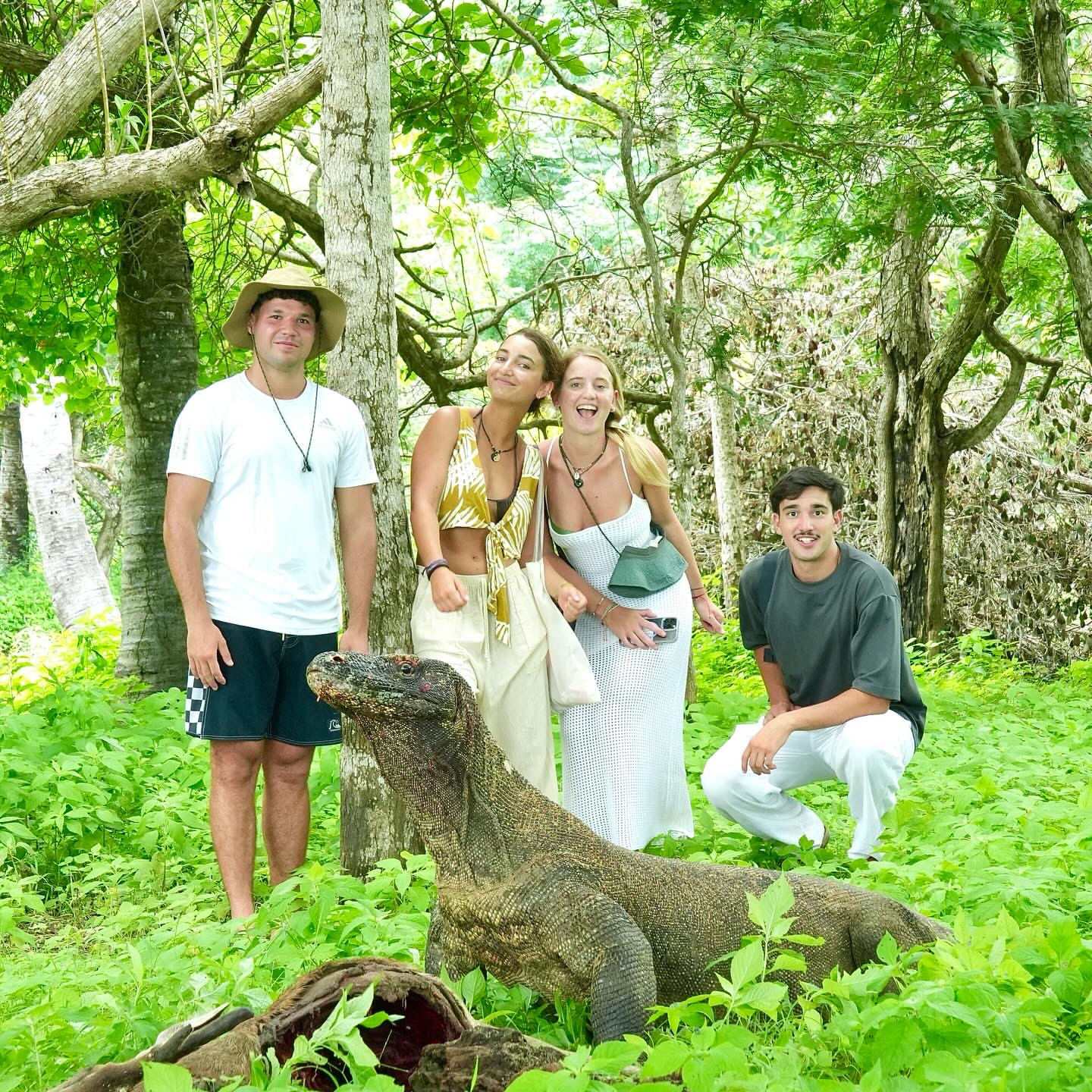Tour Komodo National Park 9 Spot Full Day Speedboat with Local Guide