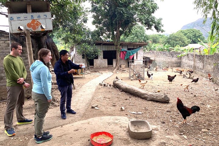 1 Day Visit Mua Cave - Trang An - Local Family - Cyling - Hoa Lu