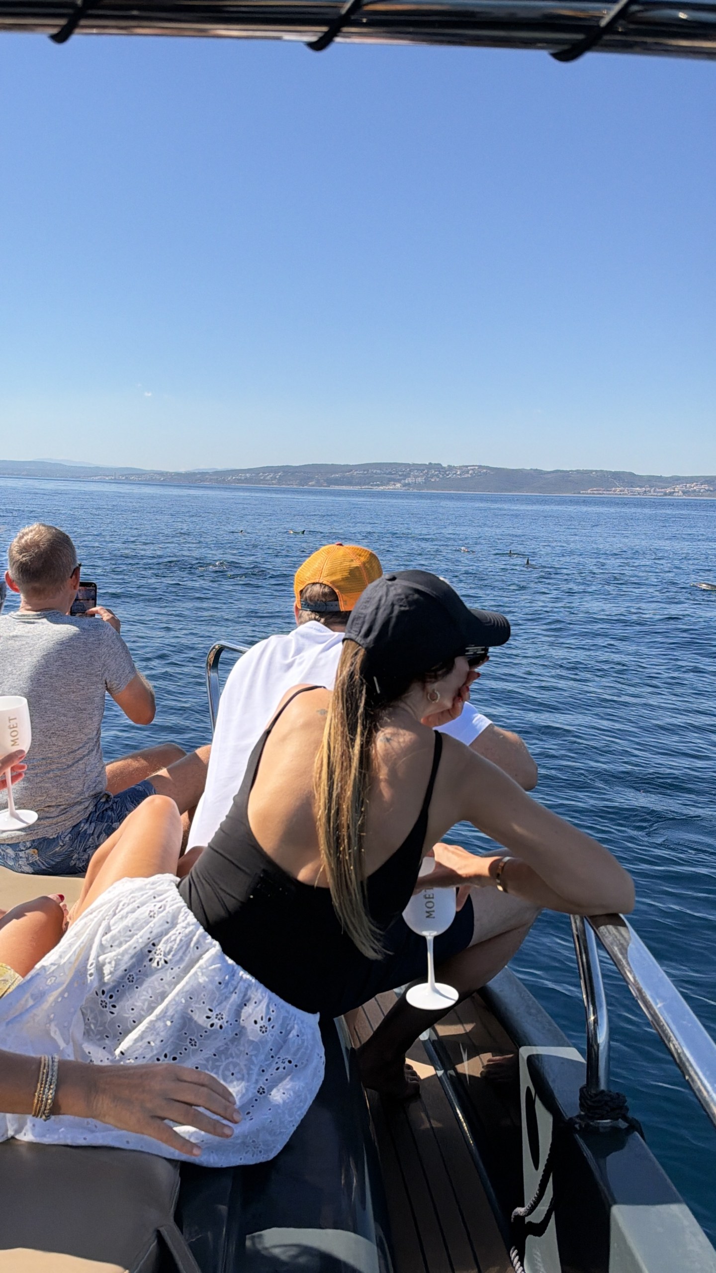 2H Private Dolphin Trip With Drinks Included in Estepona