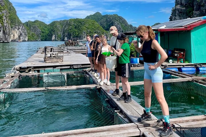 3-Day Explore the Beauty of Cat Ba National Park & Lan Ha Bay