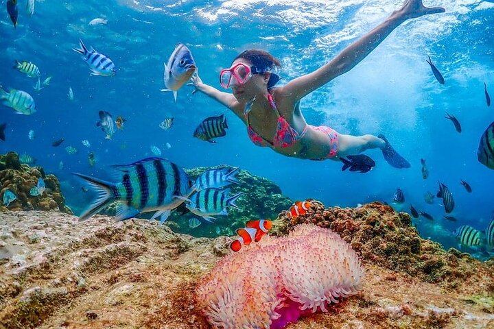 3 Days Lombok Sharing Tour