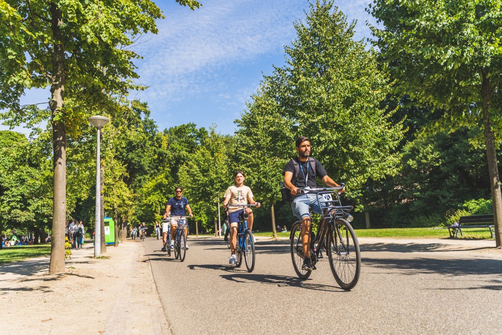 Amsterdam bike tour with canal cruise