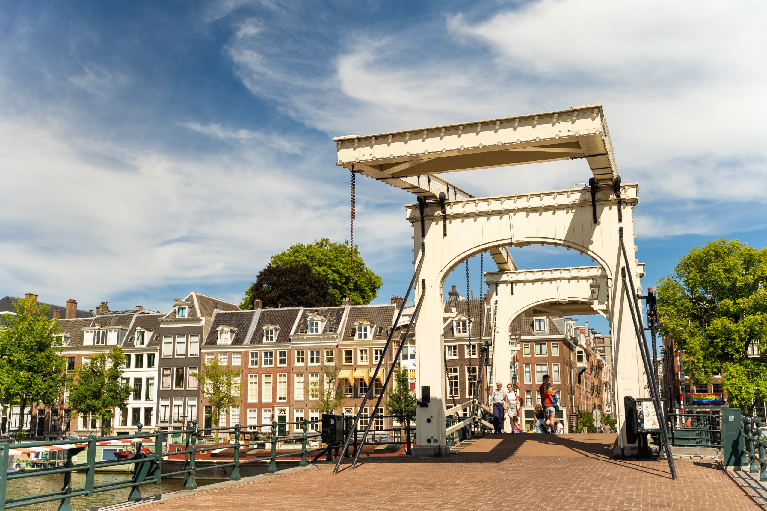 Amsterdam bike tour with canal cruise