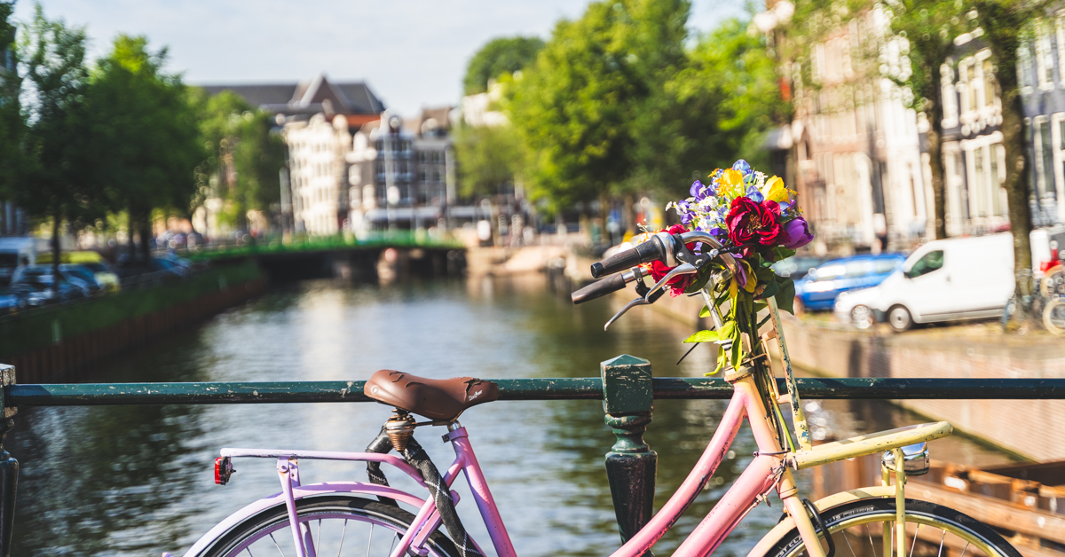 Amsterdam Canal Cruise open boat with bar on board (live guide)