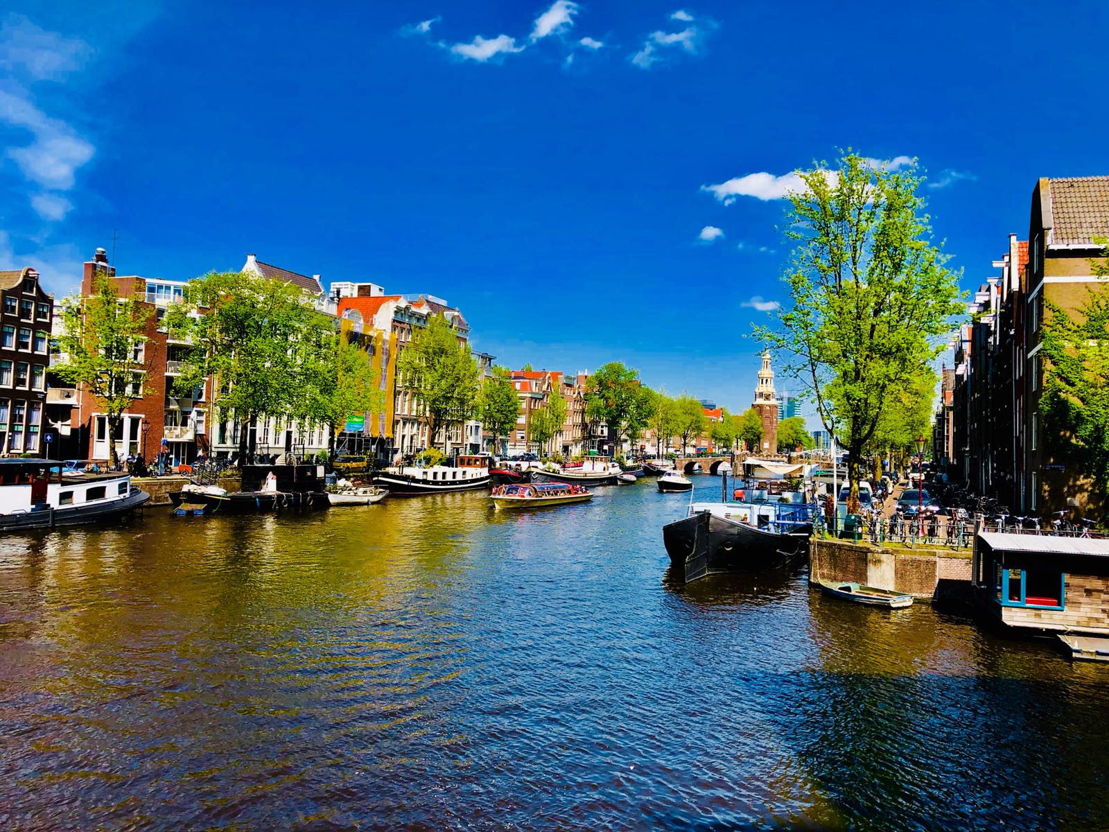 Amsterdam walking tour with canal cruise