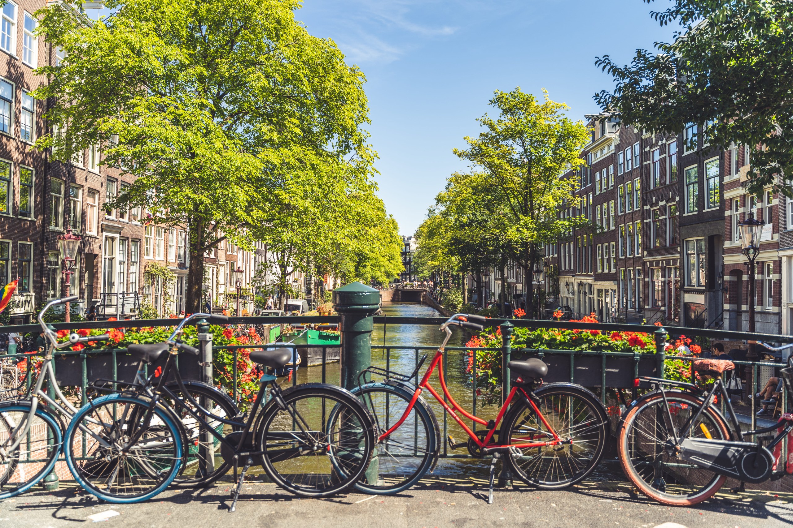 Amsterdam walking tour with canal cruise