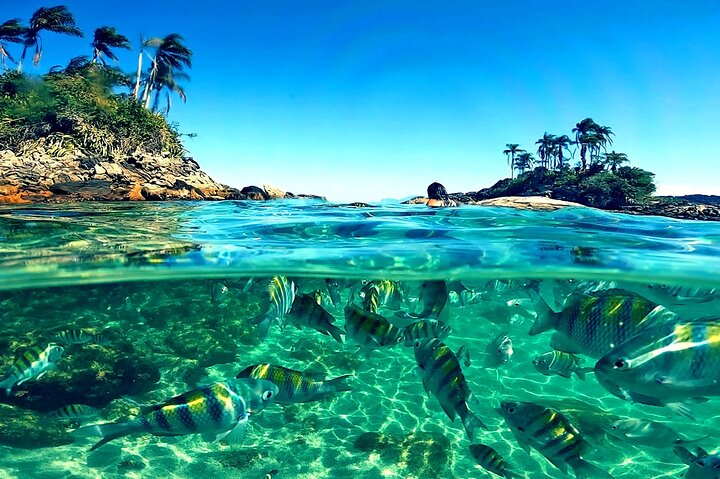 Angra dos Reis: Ilhas Paradisíacas Speeadboat Tour