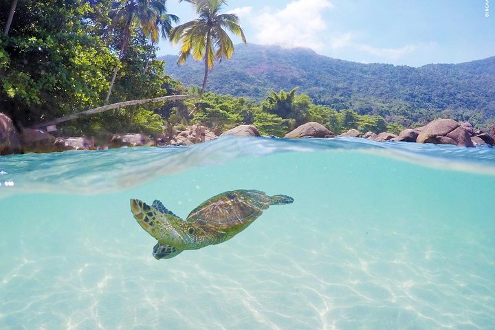 Angra dos Reis: Super Lagoa Azul Speeadboat Tour