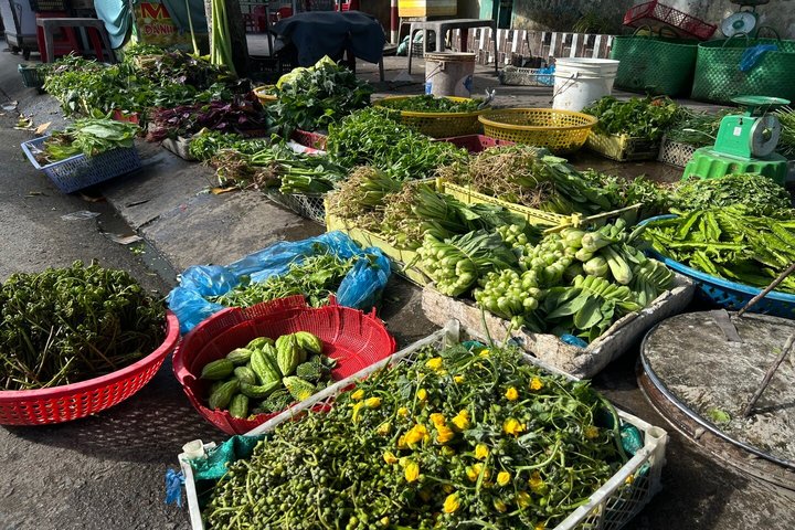 Authentic Mekong Delta Countryside Experience