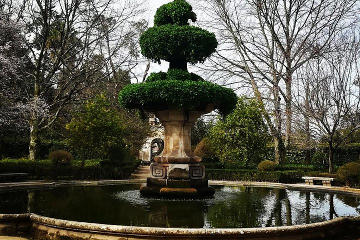 Aveiro, Costa Nova and Coimbra Private Tour From Porto