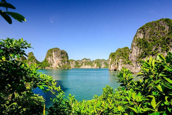 Bai Tu Long Bay Day Cruise From International Cruise Port