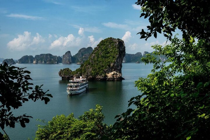 Swan Cruises: Bai Tu Long Bay 2 days 1 night (Full board)